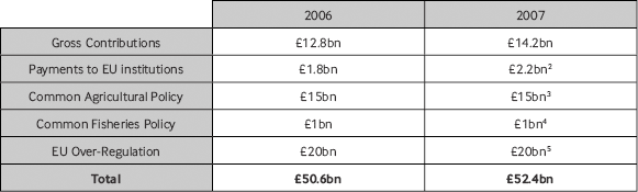 how much does the european union cost britain 2006 costs per type table