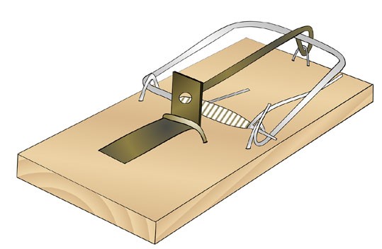 mousetrap-5121477_1280